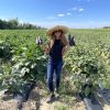 Vegetable Farm For Man/Woman With In Bradford West Gwillimbury, ON